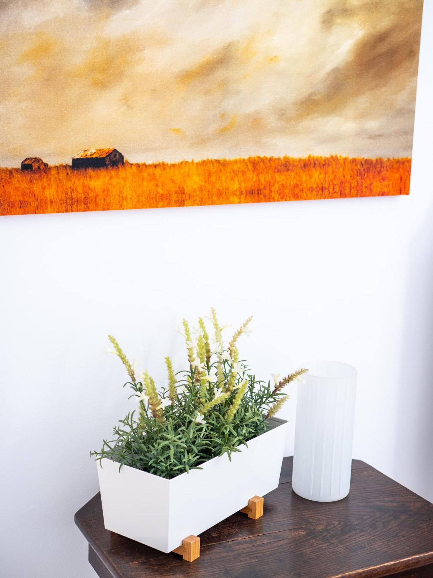 Apartmán Casa Olina Bahia de Casares Pokoj fotografie